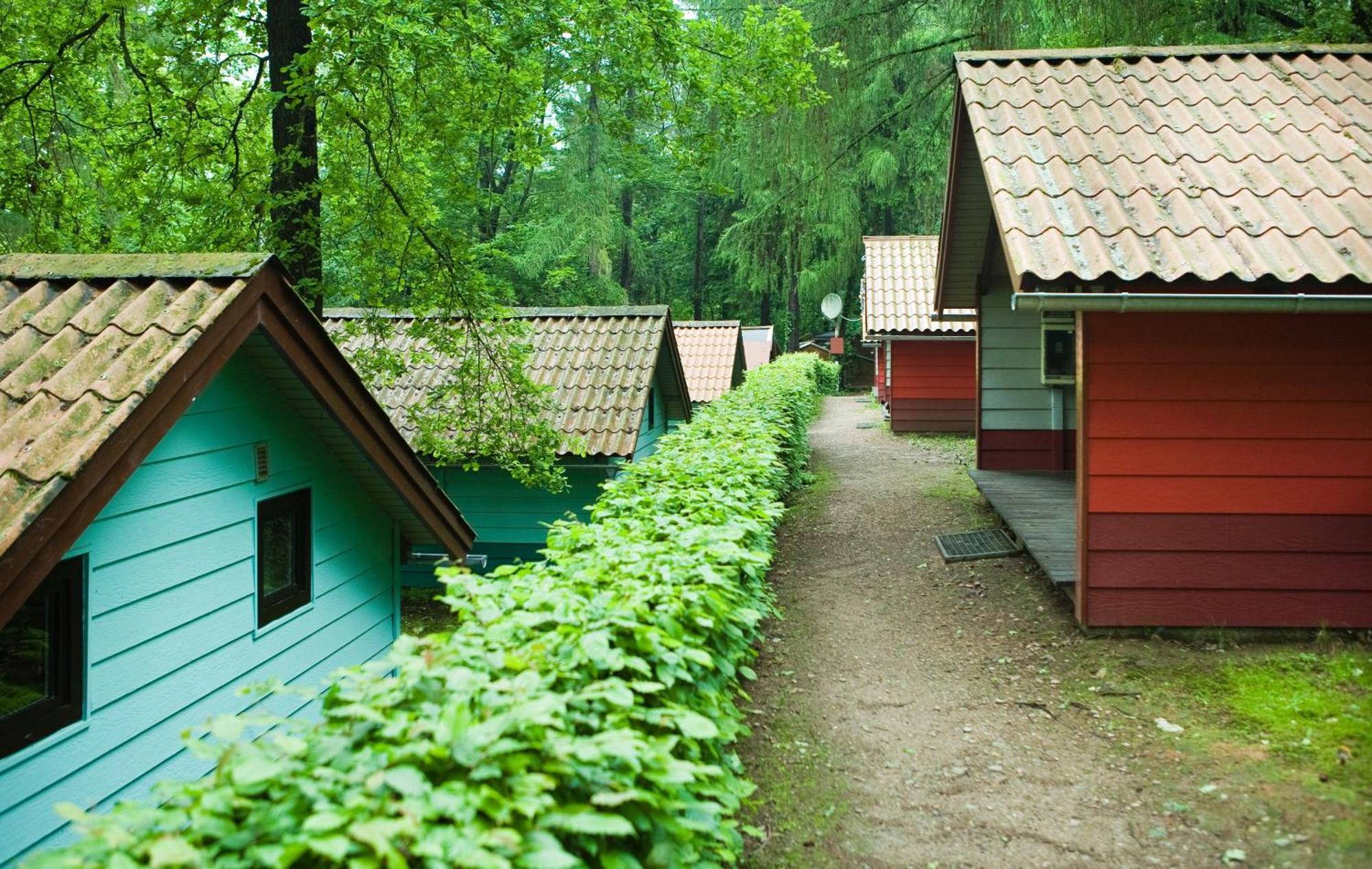 Waldidylle - Bungalows An Der Talsperre Kriebstein Екстериор снимка