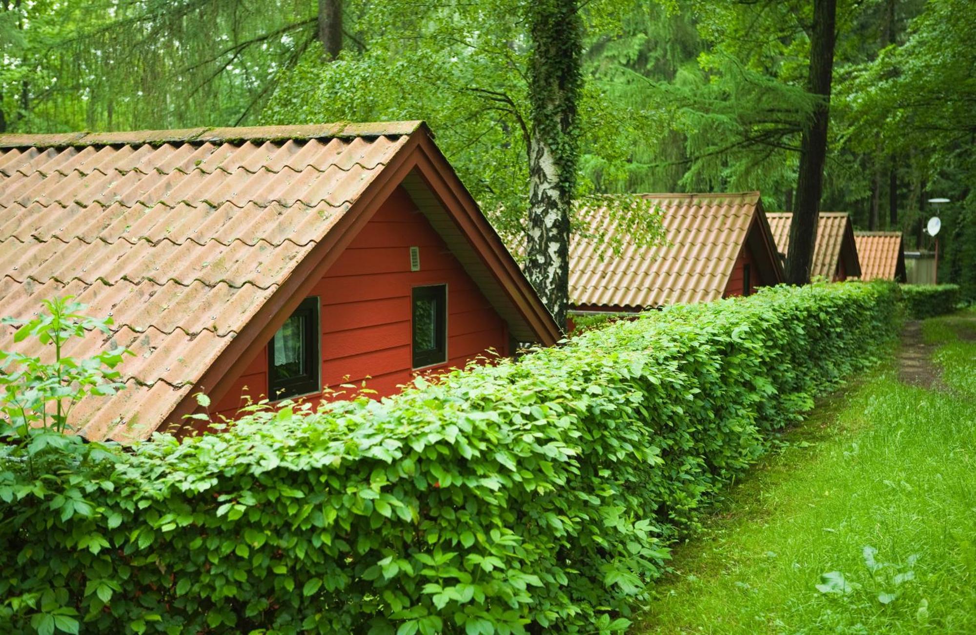 Waldidylle - Bungalows An Der Talsperre Kriebstein Екстериор снимка