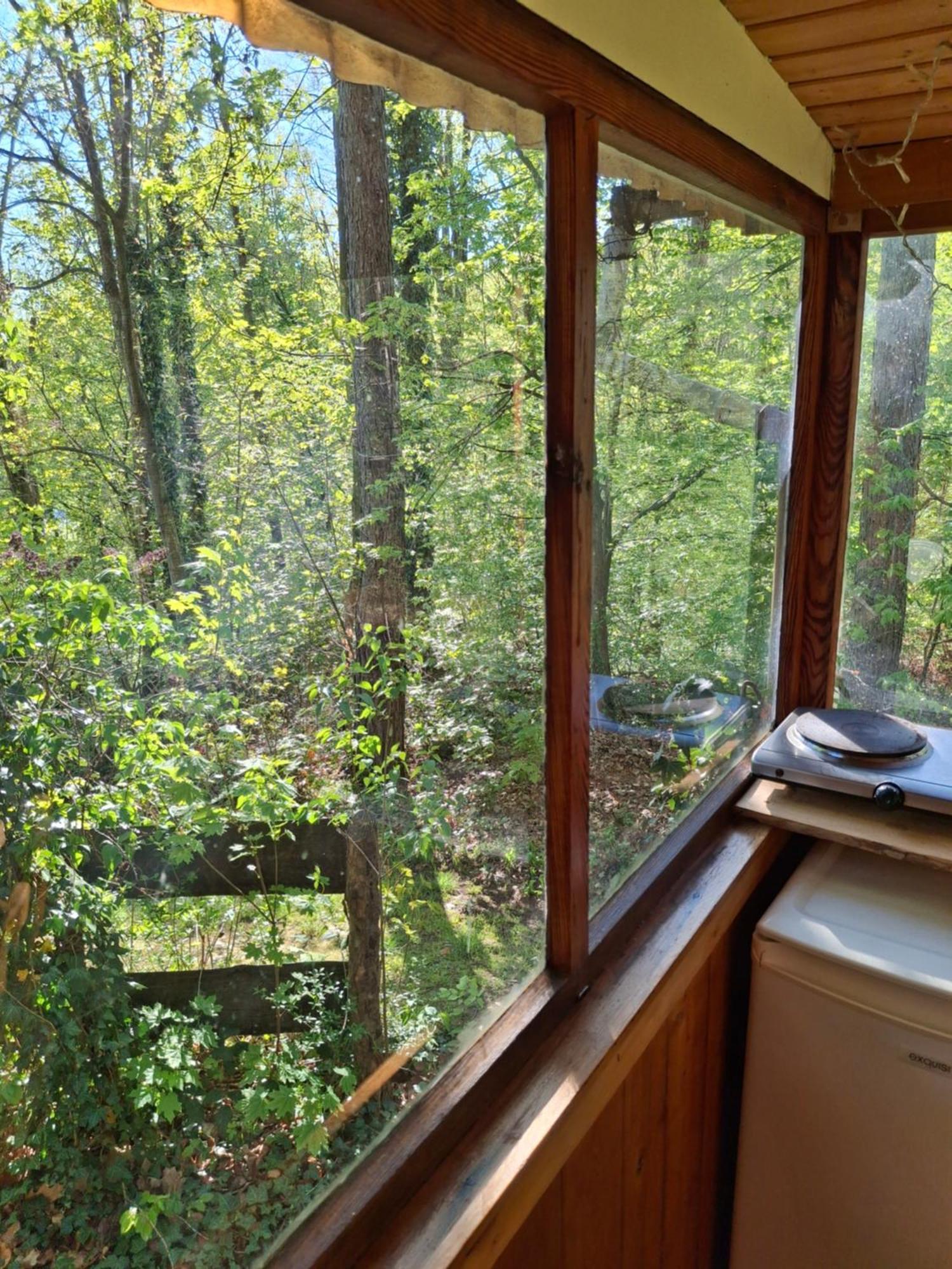Waldidylle - Bungalows An Der Talsperre Kriebstein Екстериор снимка